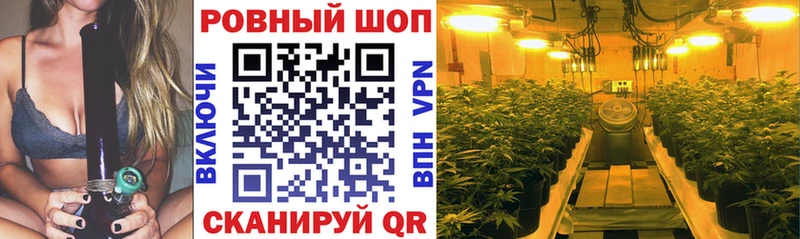 Купить закладку Новоузенск Метадон APVP Меф мяу мяу Гашиш