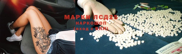 ГАЛЛЮЦИНОГЕННЫЕ ГРИБЫ Алексин