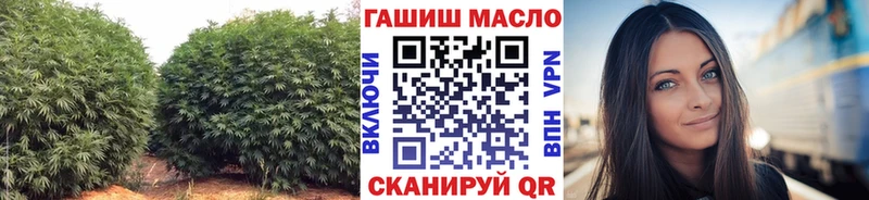 ТГК гашишное масло  дарнет шоп  ОМГ ОМГ онион  Новоузенск 