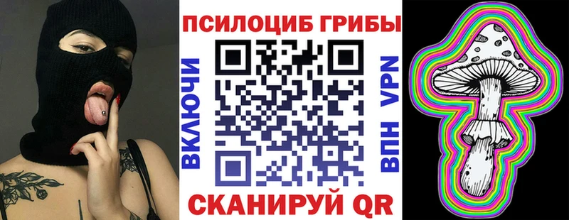 даркнет сайт  Новоузенск  Псилоцибиновые грибы мухоморы 
